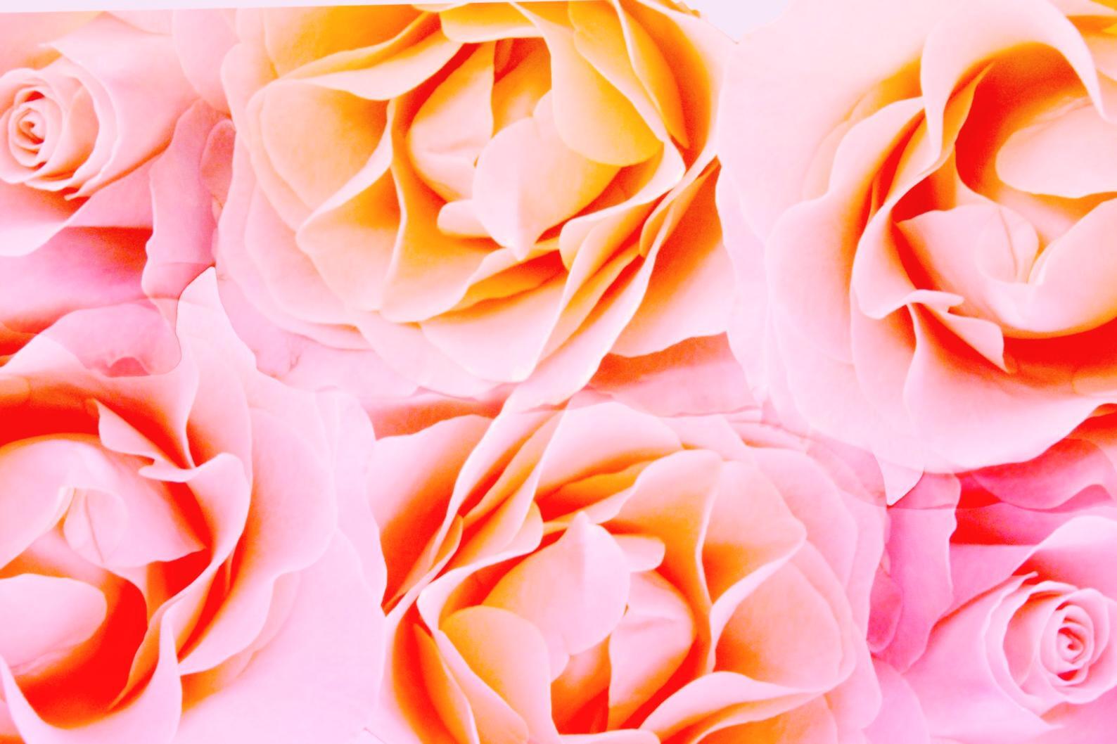 Botanical Sculpture and Structural Ikebana - floral arrangement program